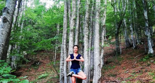 Yoga tra gli Alberi