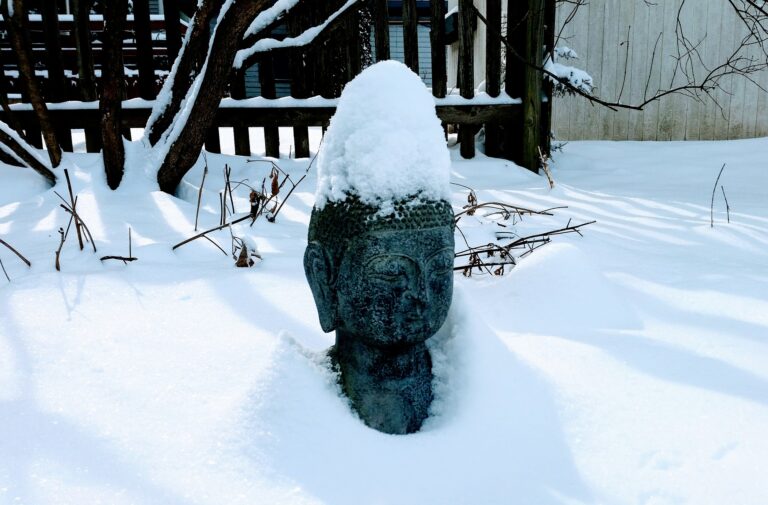 Yoga in inverno